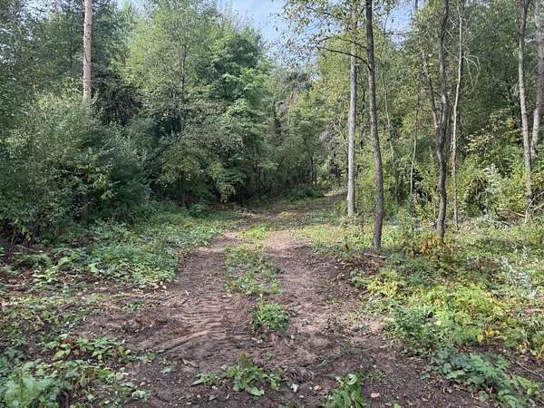 2.7 Acres of Residential Land for Sale in Gobles, Michigan