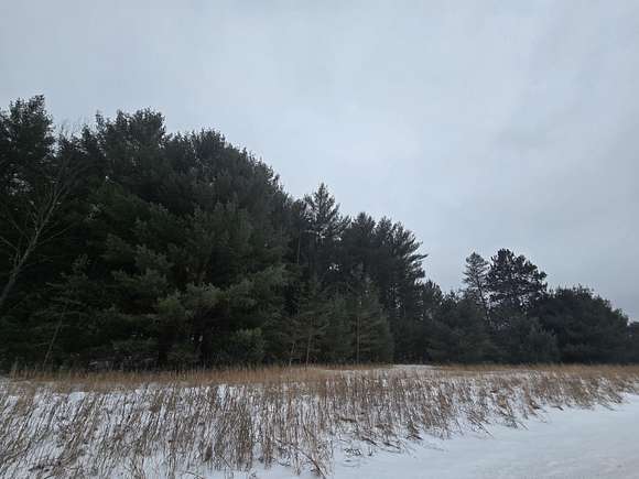 11.92 Acres of Land for Sale in Luzerne, Michigan