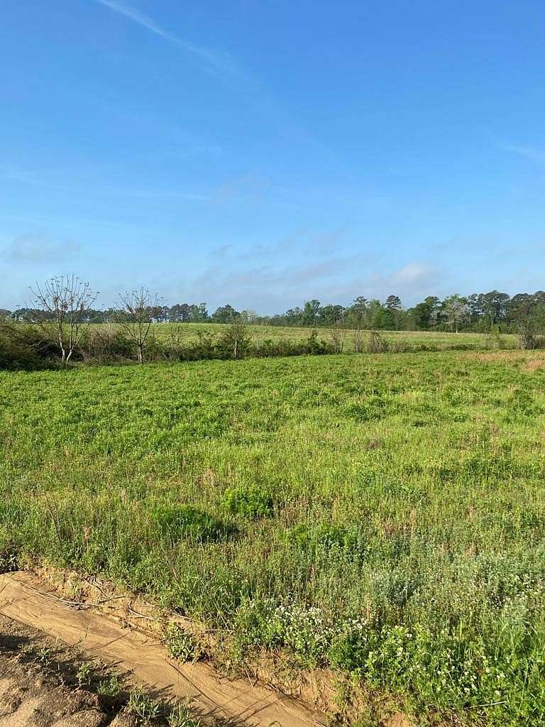 88 Acres of Agricultural Land for Sale in Hawkinsville, Georgia