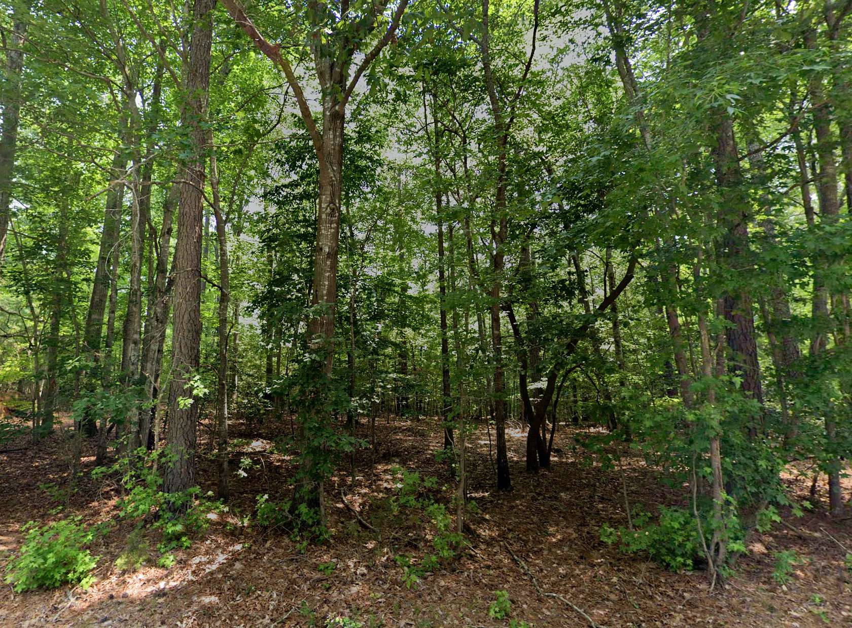 1 Acre of Residential Land for Sale in Littleton, North Carolina