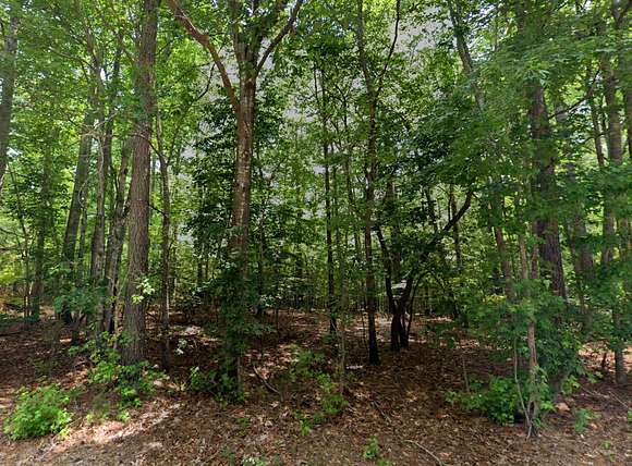 1 Acre of Residential Land for Sale in Littleton, North Carolina