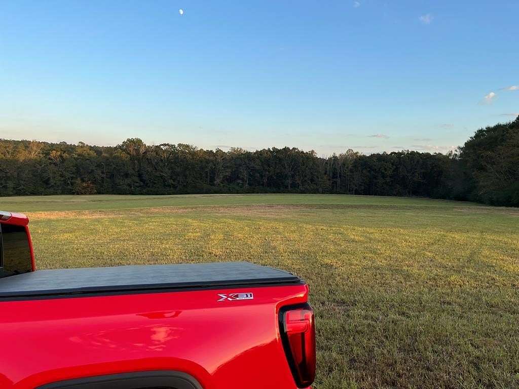 42 Acres of Agricultural Land for Sale in Brundidge, Alabama