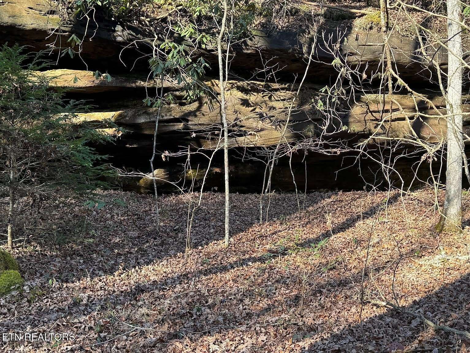 10.3 Acres of Land for Sale in Jamestown, Tennessee