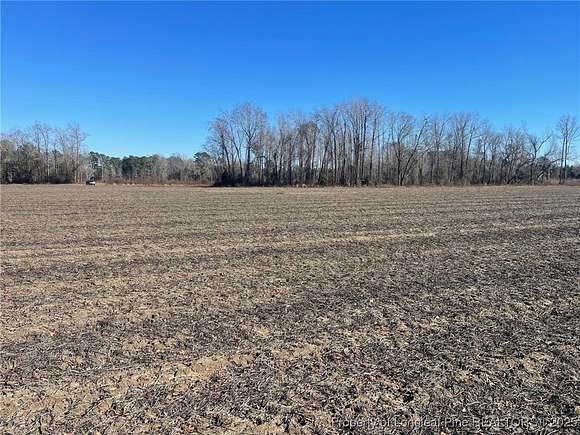 32 Acres of Agricultural Land for Sale in Tar Heel, North Carolina