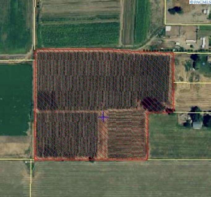 14.3 Acres of Agricultural Land for Sale in Sunnyside, Washington