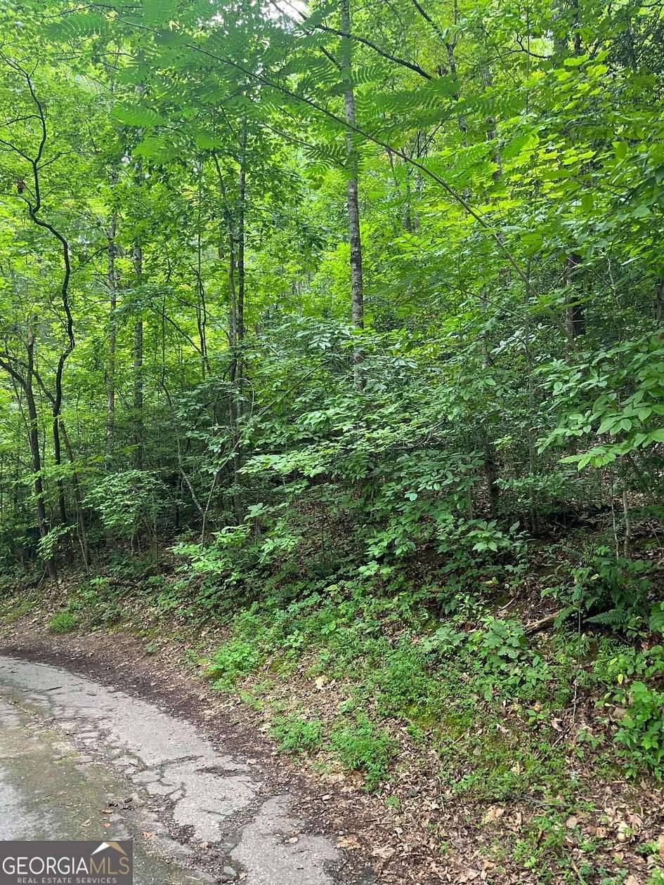 1.01 Acres of Residential Land for Sale in Hayesville, North Carolina