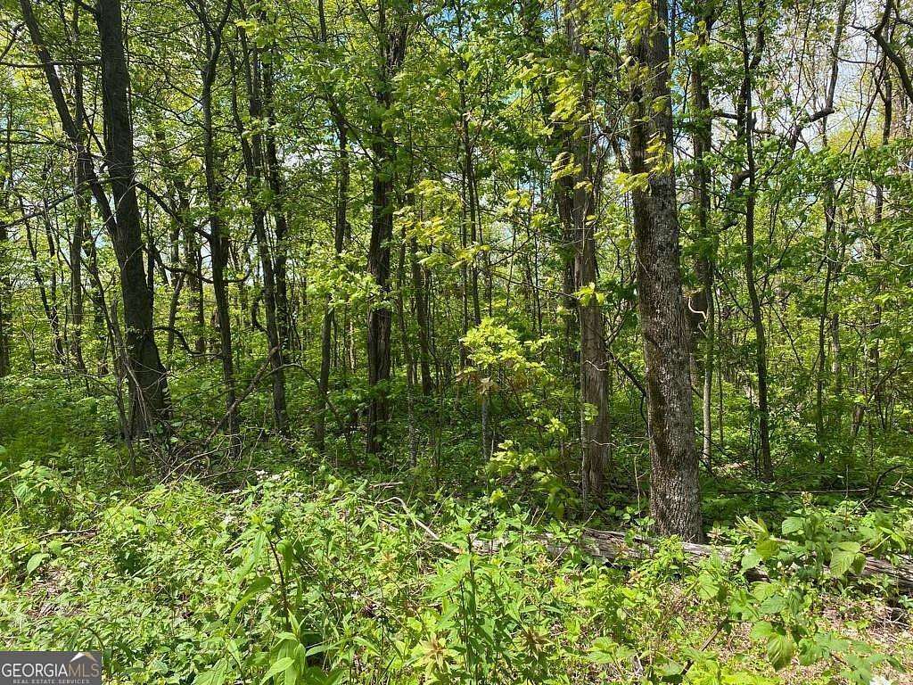3.12 Acres of Residential Land for Sale in Jasper, Georgia