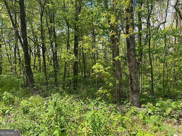 3.12 Acres of Residential Land for Sale in Jasper, Georgia