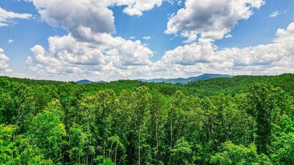 155 Acres of Land for Sale in Turtletown, Tennessee