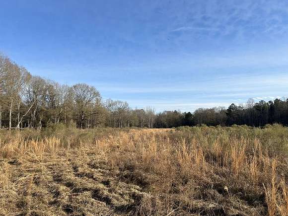 124 Acres of Recreational Land & Farm for Sale in Sontag, Mississippi