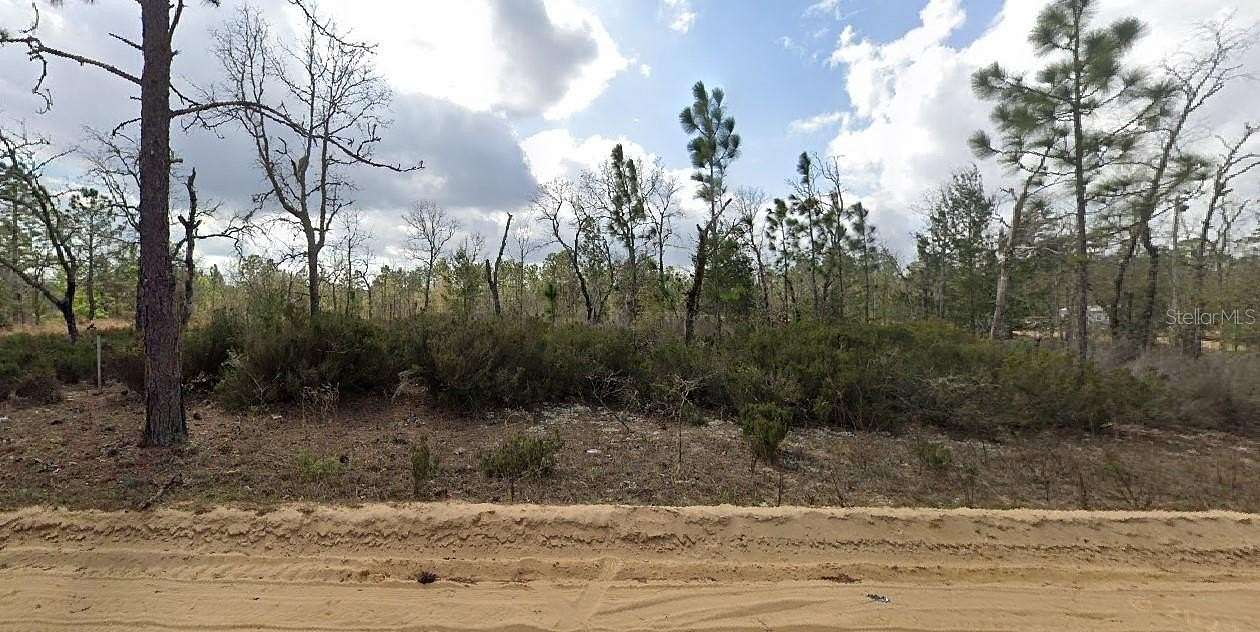 0.4 Acres of Residential Land for Sale in Interlachen, Florida