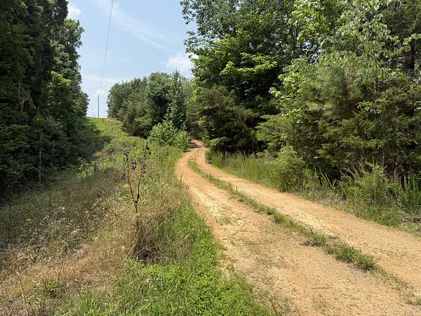 16 Acres of Land for Sale in Linden, Tennessee