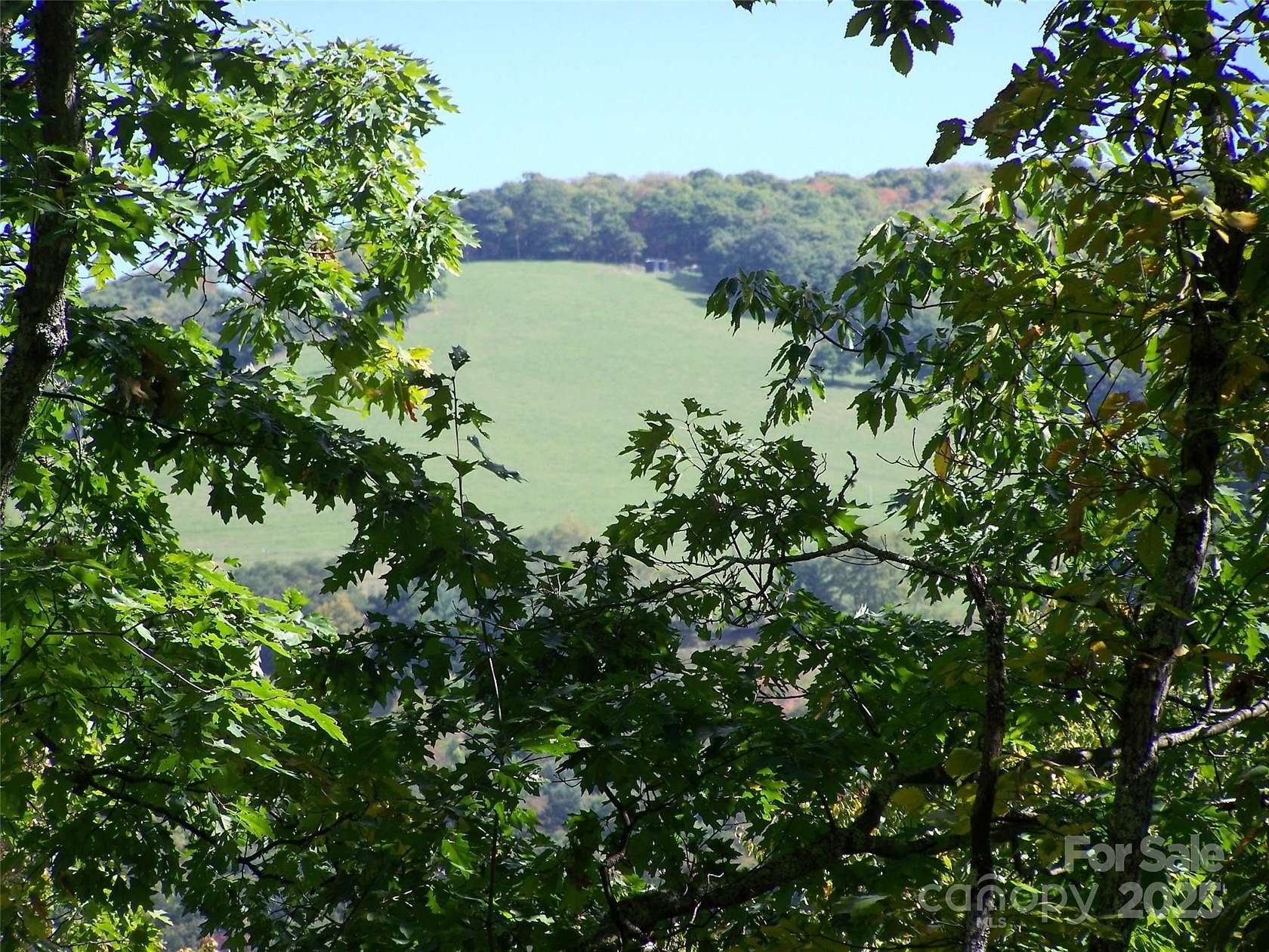 181 Acres of Recreational Land for Sale in Maggie Valley, North Carolina