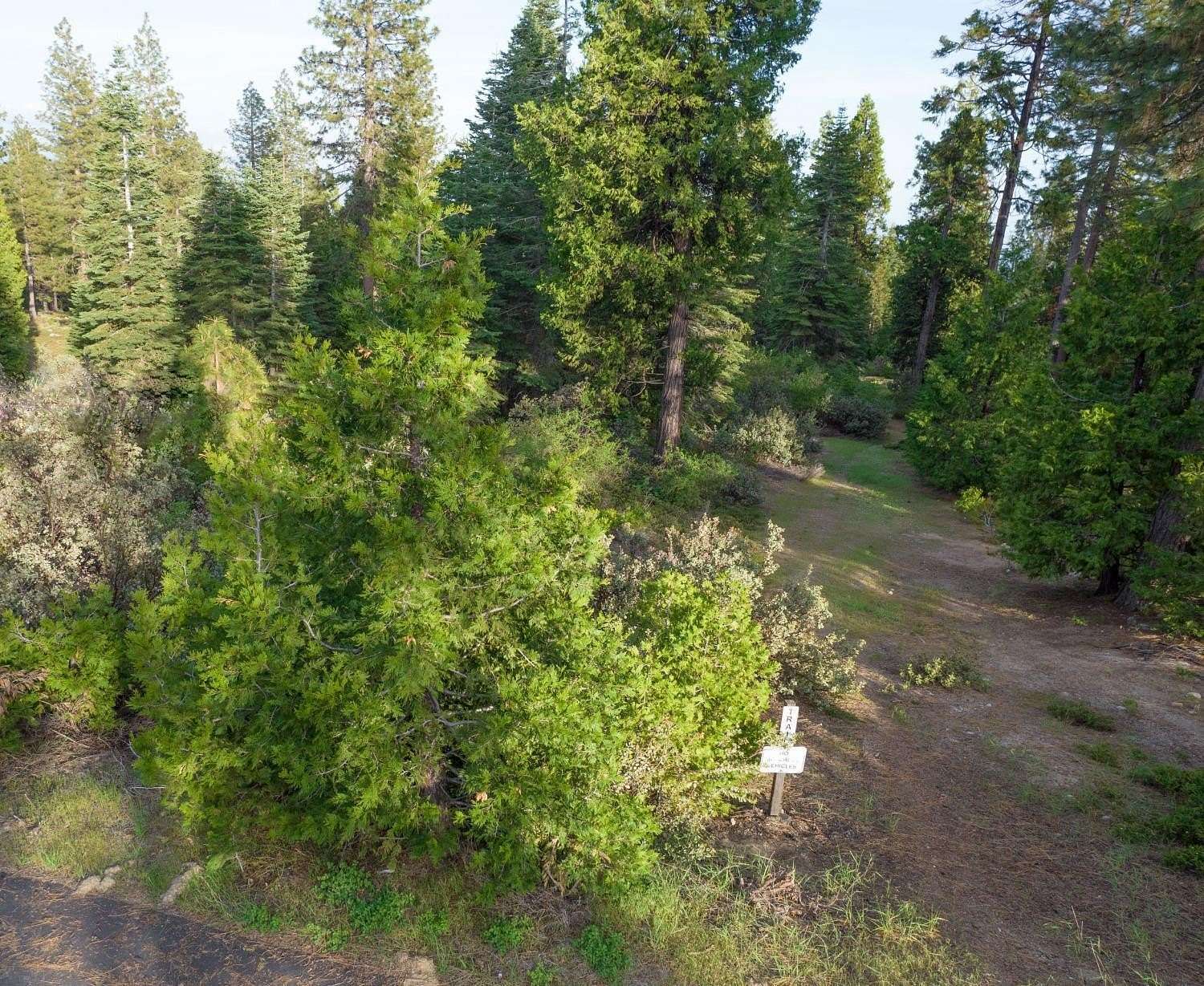 0.293 Acres of Residential Land for Sale in Shaver Lake, California