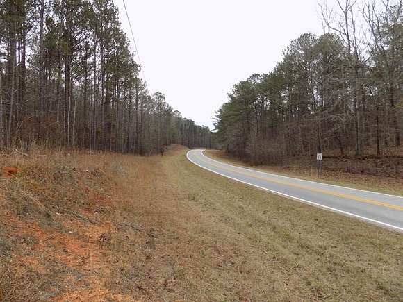 40 Acres of Recreational Land for Sale in Hamilton, Georgia