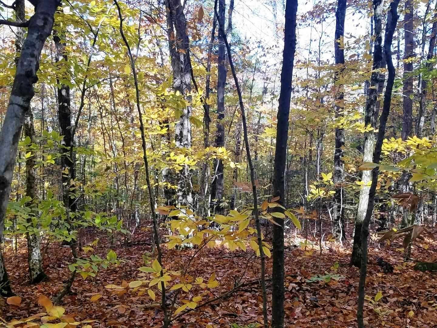 0.29 Acres of Residential Land for Sale in Campton Town, New Hampshire