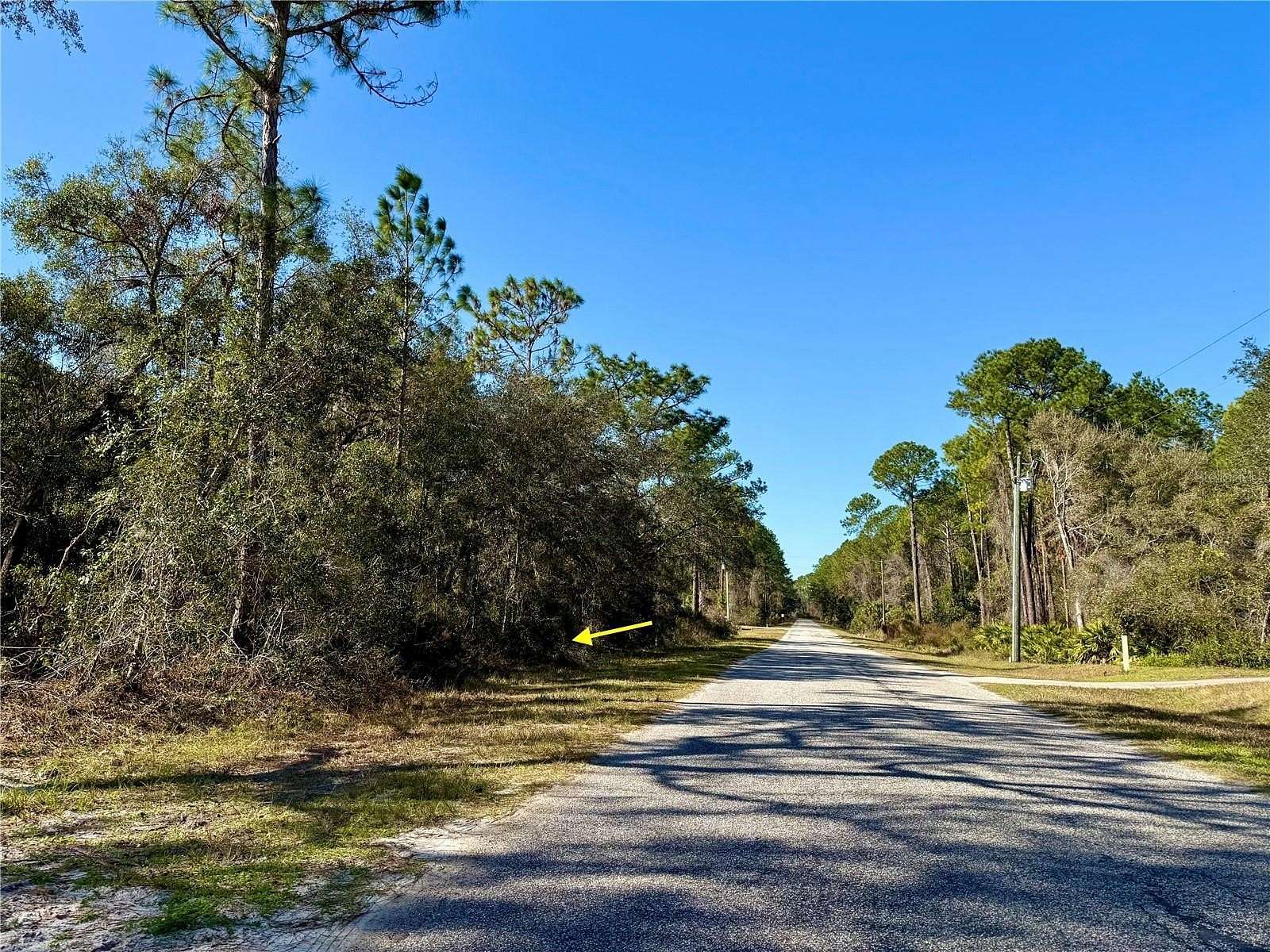 1 Acre of Residential Land for Sale in Eustis, Florida