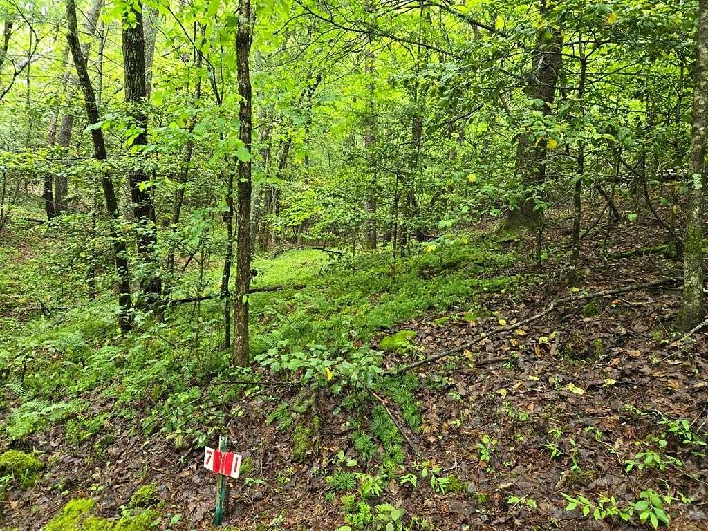 2.38 Acres of Land for Sale in Hayesville, North Carolina