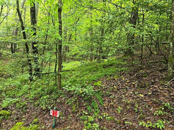 2.38 Acres of Land for Sale in Hayesville, North Carolina