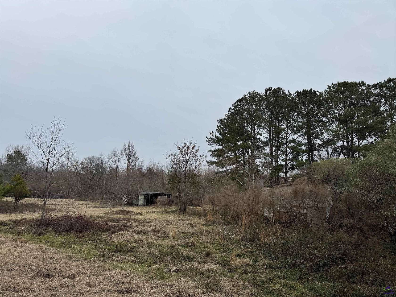 25.88 Acres of Land for Sale in Hawkinsville, Georgia