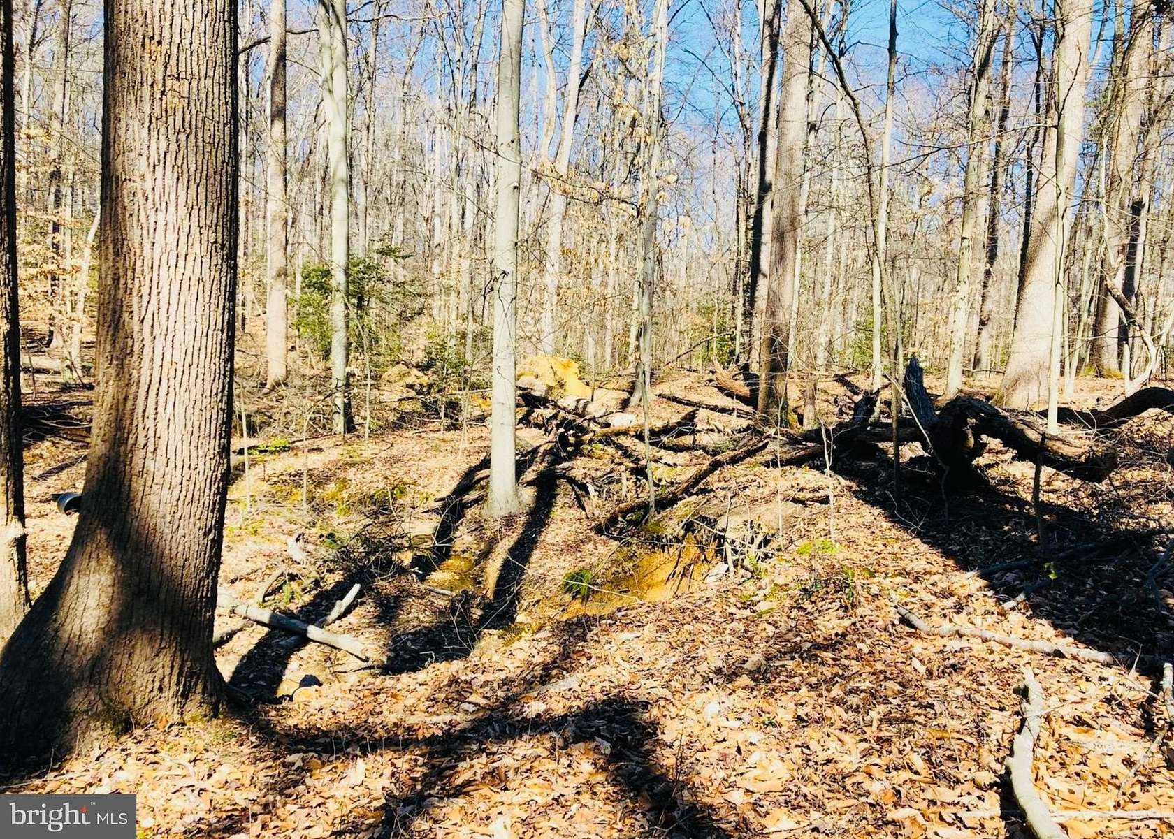 2.63 Acres of Residential Land for Sale in Manassas, Virginia