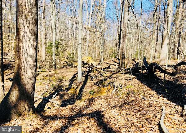 2.63 Acres of Residential Land for Sale in Manassas, Virginia