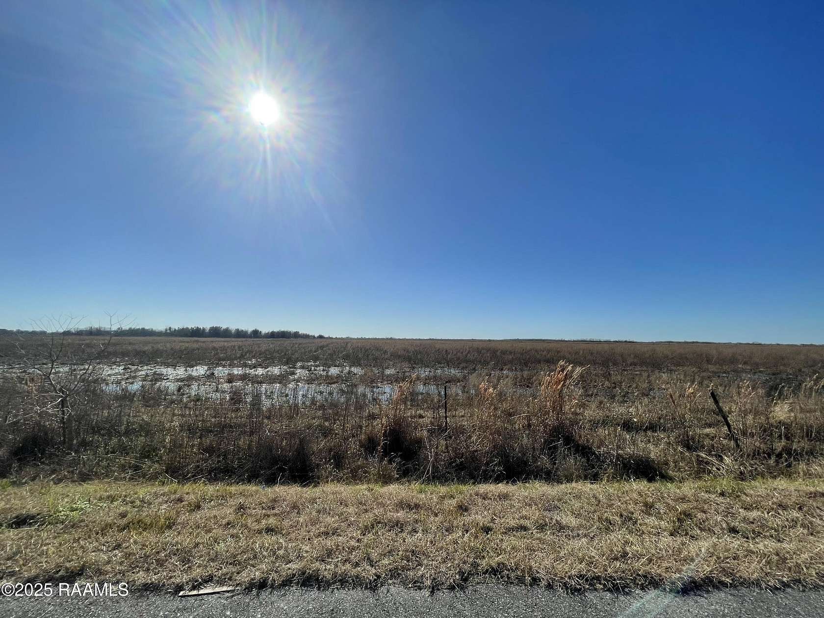 20.5 Acres of Land for Sale in Gueydan, Louisiana