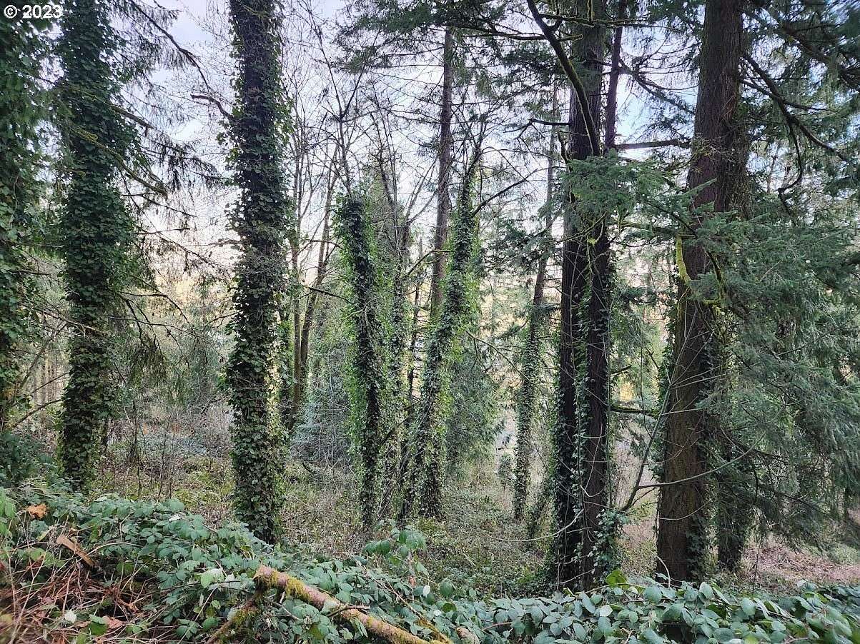 0.34 Acres of Residential Land for Sale in Portland, Oregon