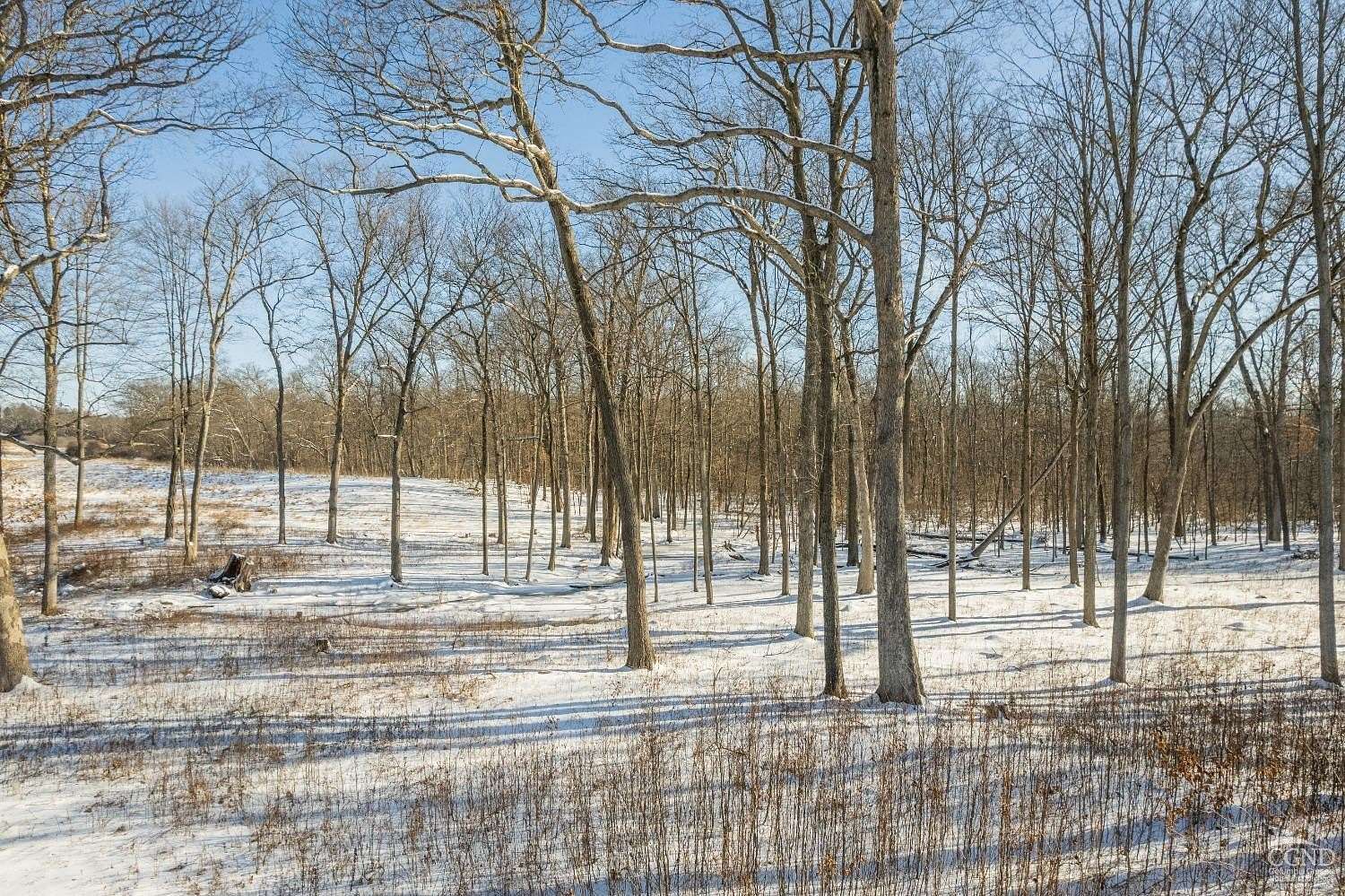 28.5 Acres of Land for Sale in Tivoli, New York