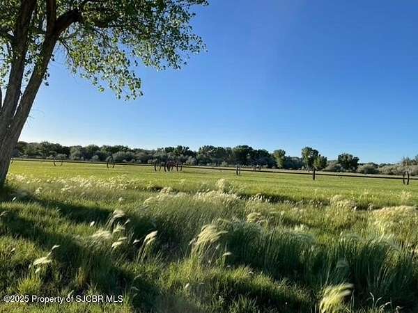 20 Acres of Recreational & Residential Land for Sale in Bloomfield, New Mexico
