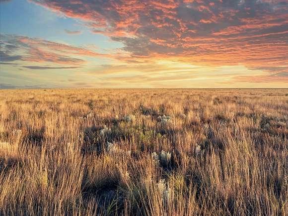 821.6 Acres of Recreational Land & Farm for Sale in Sudan, Texas