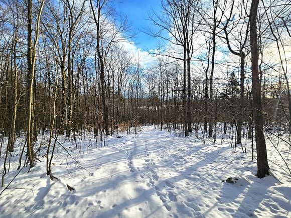 20 Acres of Recreational Land for Sale in Temple, Maine