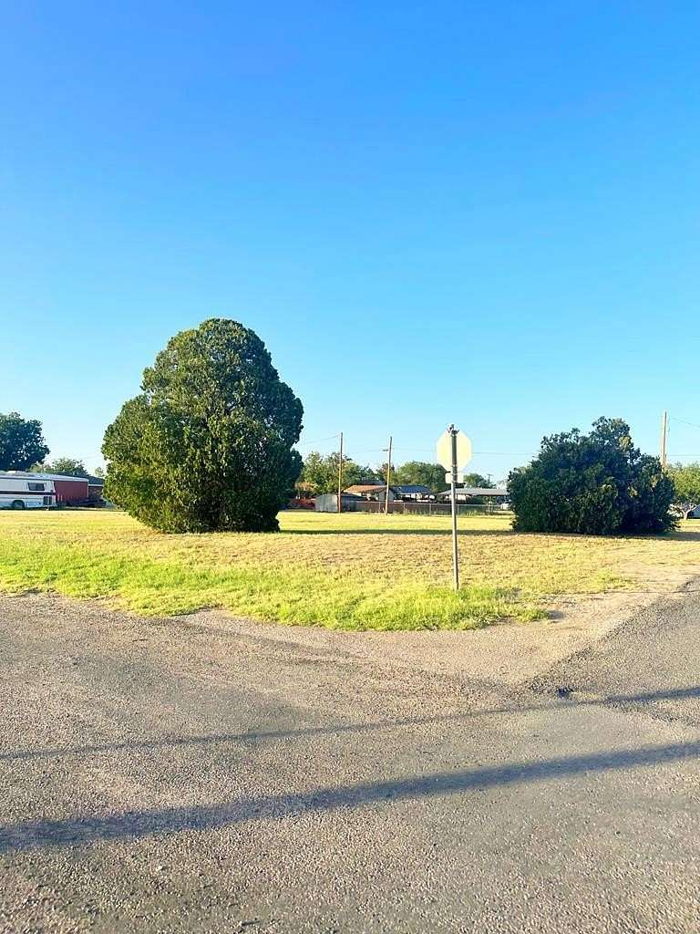 0.206 Acres of Residential Land for Sale in Coahoma, Texas