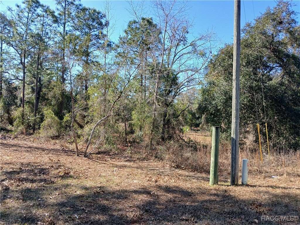 1.01 Acres of Residential Land for Sale in Homosassa, Florida