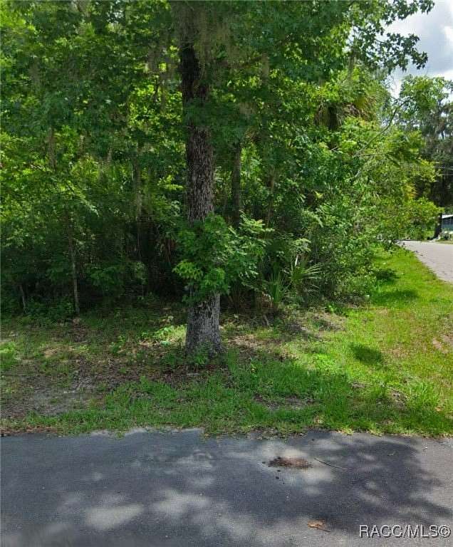 0.2 Acres of Residential Land for Sale in Lake Panasoffkee, Florida