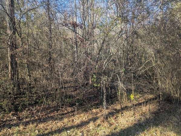4 Acres of Residential Land for Sale in Rocky Face, Georgia