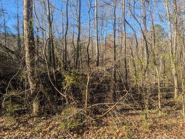 3.57 Acres of Residential Land for Sale in Rocky Face, Georgia