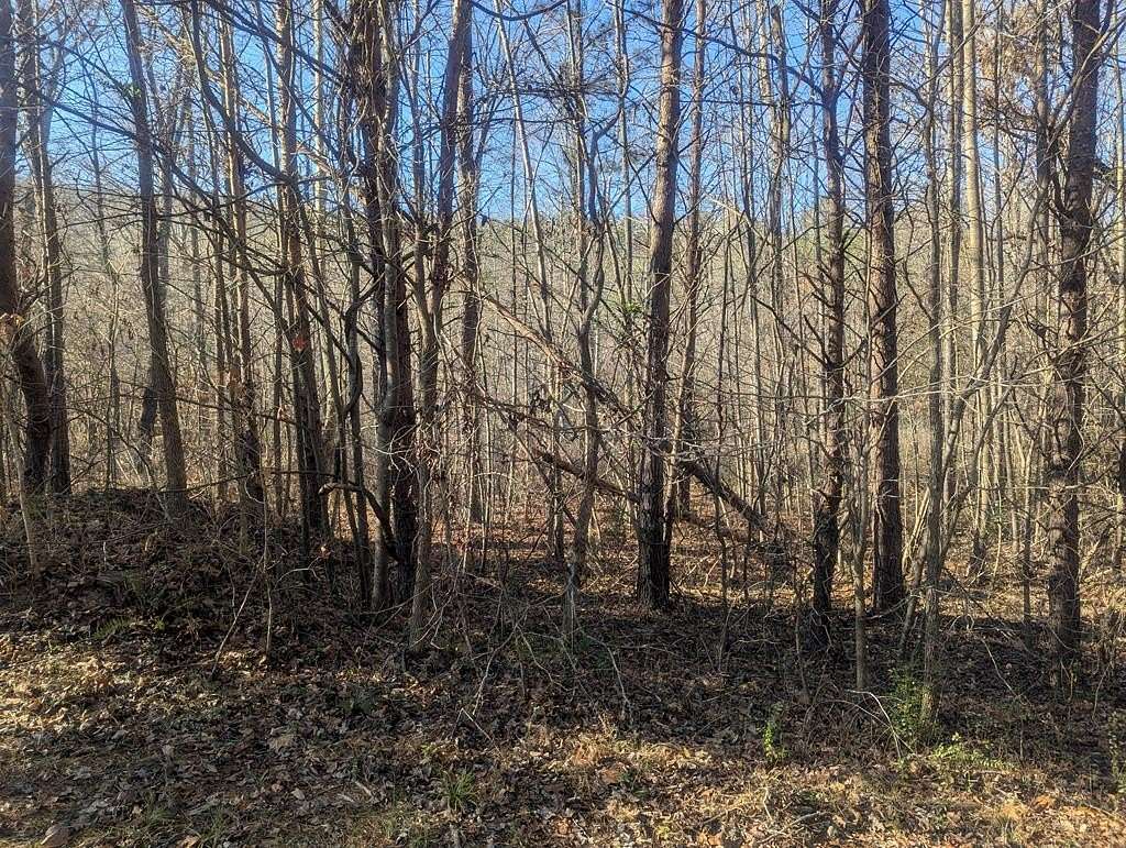 3.54 Acres of Residential Land for Sale in Rocky Face, Georgia