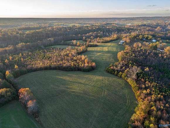 198 Acres of Recreational Land for Sale in Valley Head, Alabama