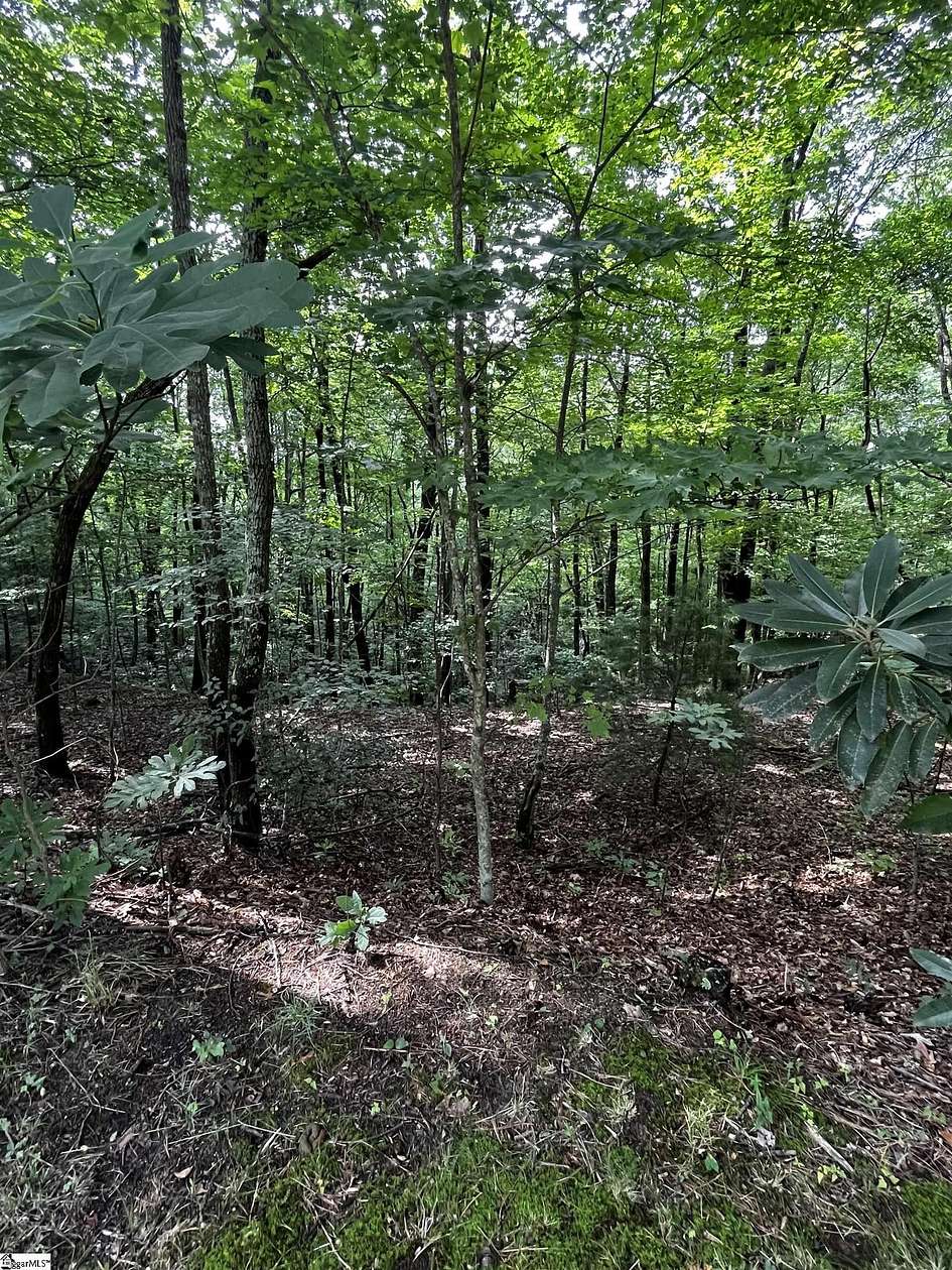 0.71 Acres of Land for Sale in Cleveland, South Carolina