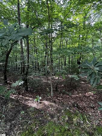 0.71 Acres of Land for Sale in Cleveland, South Carolina