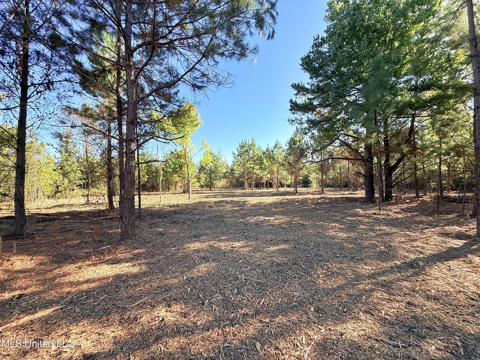 5 Acres of Land for Sale in Madison, Mississippi