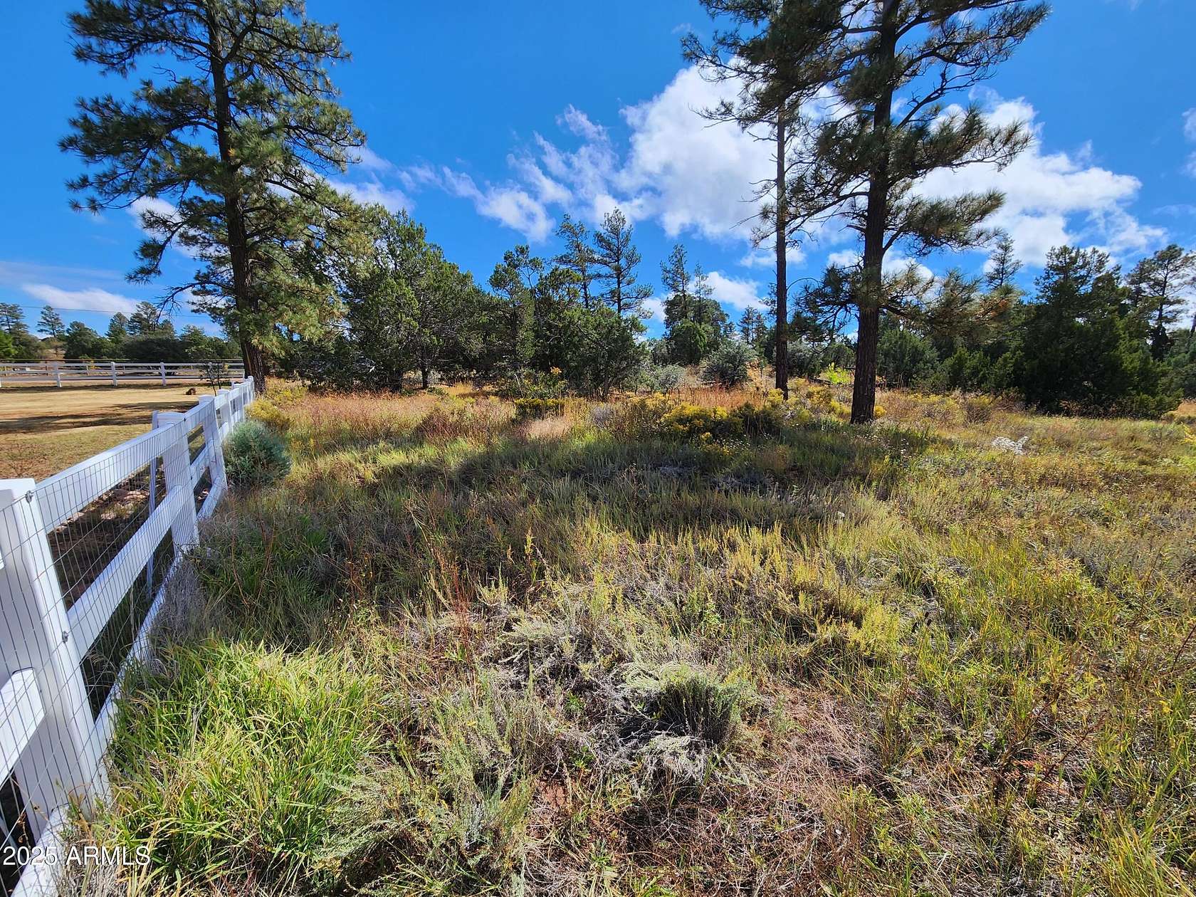 1 Acre of Commercial Land for Sale in Show Low, Arizona