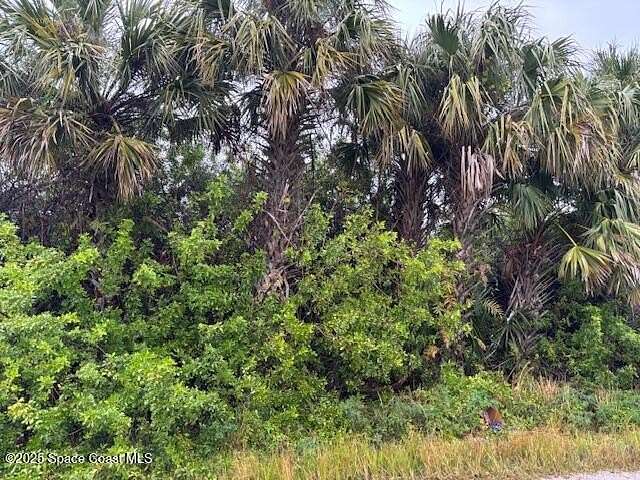 0.23 Acres of Land for Sale in Palm Bay, Florida