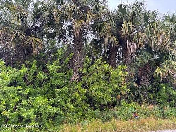 0.23 Acres of Land for Sale in Palm Bay, Florida