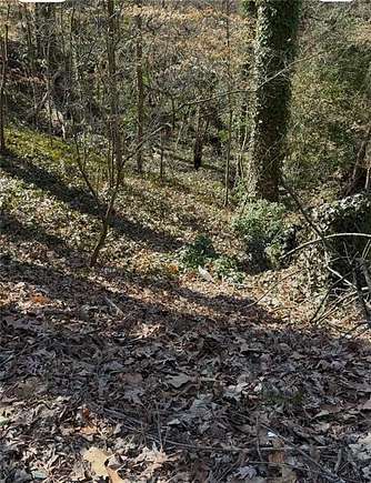 3.32 Acres of Residential Land for Sale in East Point, Georgia