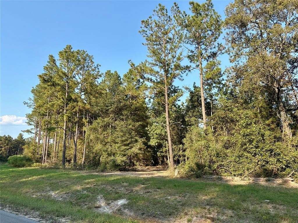 1.55 Acres of Residential Land for Sale in Willis, Texas