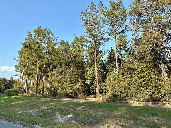 1.55 Acres of Residential Land for Sale in Willis, Texas
