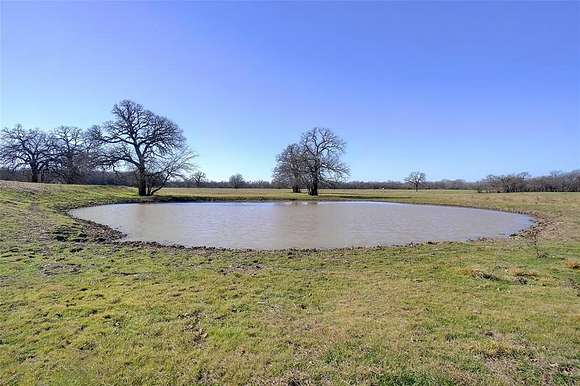 415 Acres of Agricultural Land for Sale in Bridgeport, Texas