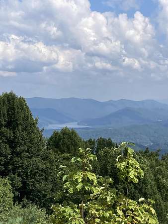 5 Acres of Residential Land for Sale in Butler, Tennessee